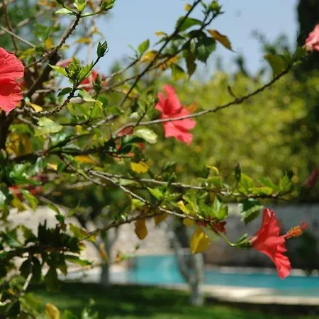 Hotel Martha 3*