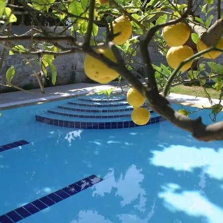 Hotel Martha 3*