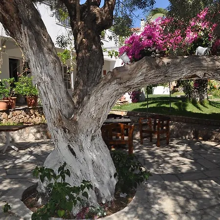 Martha Hotel